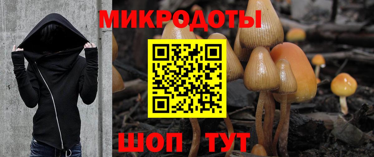 Псилоцибиновые грибы GOLDEN TEACHER  Псилоцибиновые грибы ЛСД  Вход с VPN  продажа наркотиков  Ялта 